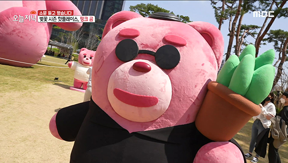 벚꽃 시즌 인기 상승 중인 '핑크 곰'과 인생 샷 찍기!