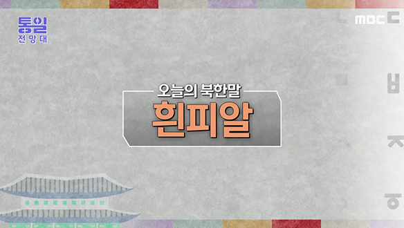 [2022-04-16 1001회] 북한말 '흰피알'은 무슨 뜻일까요?