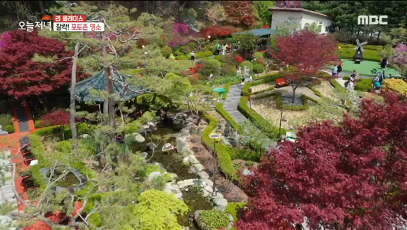 황무지의 완벽한 변신! 봄꽃 가득🌷 유럽 테마 '이색 식물원' 클립 이미지