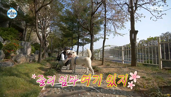 배우 설인아의 늠름하고 순둥순둥한 반려견 줄리♥ 클립 이미지