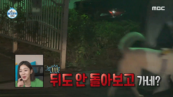 수원천에서 맘껏 산책 즐긴 줄리는 냅다 퇴근♪ 클립 이미지