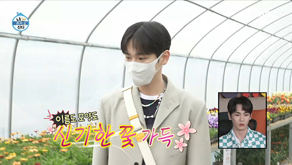 봄맞이 꽃단장 위해 화훼단지를 찾은 샤이니 키! 클립 이미지