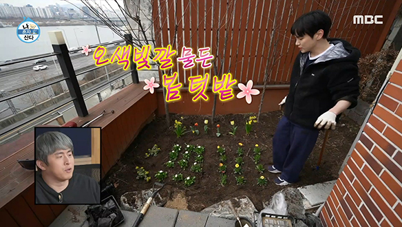 척박해진 텃밭은 쇼핑한 식물들로 새 단장♧ 클립 이미지