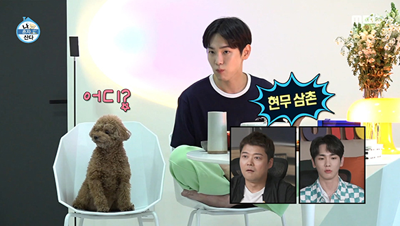 샤이니 키 반려견 꼼데는 화면 속 전현무를 알아본다?! 클립 이미지