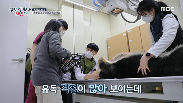 폭발물 탐지견 '에이거'의 건강 상태는? 클립 이미지