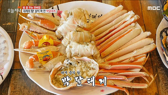 대게의 왕! 빈틈없이 살이 꽉 찬 '박달대게' 한 상!