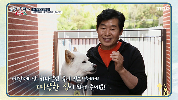 이연복 셰프와 믹스견 생일이는 운명이라개♥＜'더 가까이' 캠페인＞ 클립 이미지