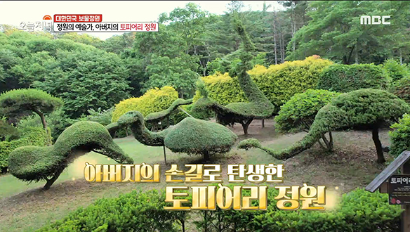 수도권 나들이 명소! 사랑꾼 아버지의 가족 사랑이 담긴 '토피어리 정원'