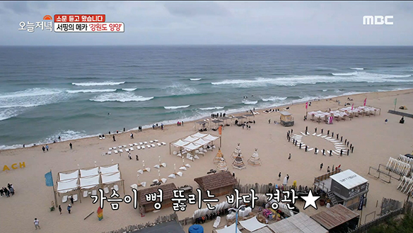 서핑의 메카로 유명한 강원도 양양의 국내 유일 '서피비치' 클립 이미지