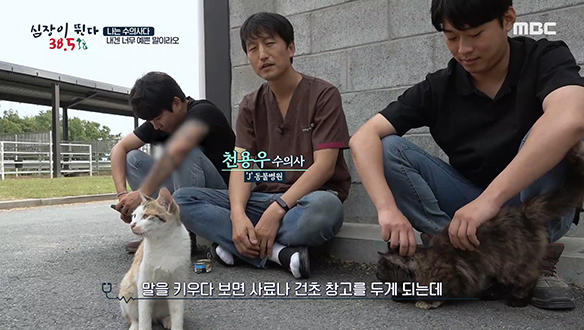 입원 말들의 회복을 돕는 수의사들 그리고 고양이...? 클립 이미지