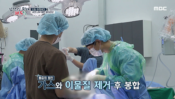 경주마로 활약했던 '호동이'의 배를 열어 배앓이 원인을 찾아라! 클립 이미지