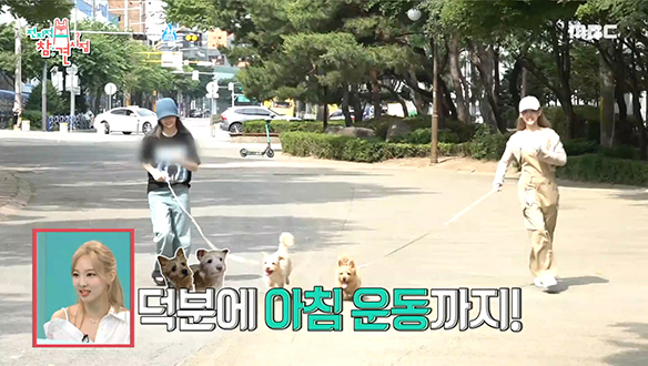 아침 운동 겸 반려견 부&도비와 함께 산책 나선 트와이스 나연&모모!