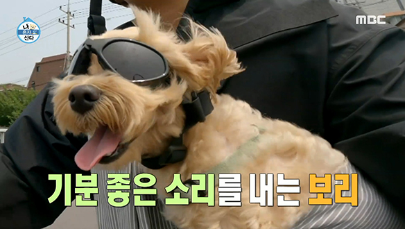 멋짐 뿜뿜♨ 라이딩 산책 즐기는 김해준 & 반려견 보리♥ 클립 이미지