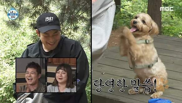 반려견 보리가 원하는 산책은 라이딩 산책이라개♪ 클립 이미지