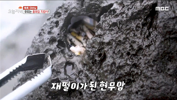 제주도는 지금 '줍깅'중! 더 나은 미래를 위해 행동하는 올레길 지킴이들♥