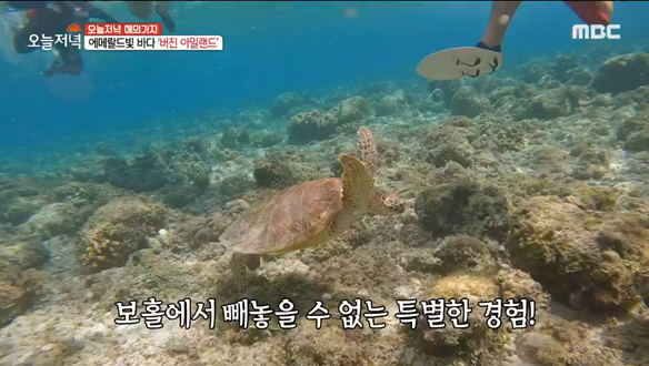 신비로운 섬 '버진 아일랜드' & 다이버의 성지 '발리카삭 아일랜드'🥽