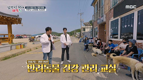 동물 의료 사각지대인 '주문도 느리마을' 동물들의 건강 상태는? 클립 이미지