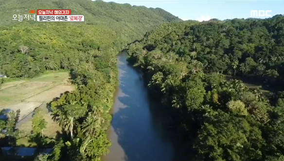 보홀 필수 코스! 현지인 추천 야시장 맛집 & 필리핀의 아마존 '로복강' 클립 이미지