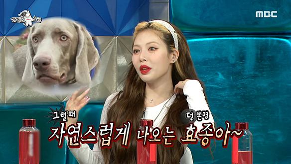 무대 위 시크 도도한 현아의 천적은 무기력 던? 클립 이미지