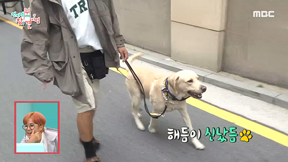 스케줄 가는 길에도 퍼피워커 활동 멈추지 않는 정재형과 반려견 해듬이 클립 이미지