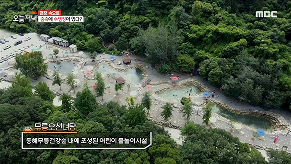 수영장 입장부터 주차장까지 전부 무료?! 강원도 동해시의 '무릉오선녀탕' 클립 이미지
