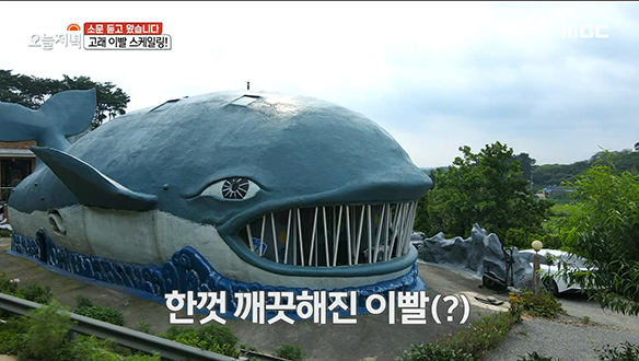 세상에 이런 집이?! 40년간 품어온 꿈을 현실로 이뤄낸 '고래집' 클립 이미지