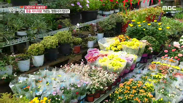 "내 생명이고 은인" 꽃을 자식처럼 기르는 정원사의 꽃밭🌷