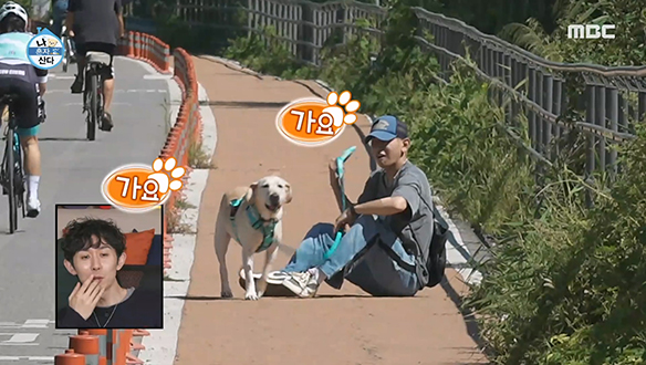 땀 뻘뻘 흘리는 크러쉬를 산책(?) 시키는 반려견 로즈♡ 클립 이미지