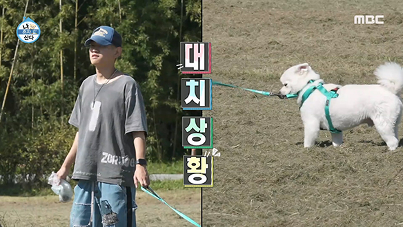 개 아빠 크러쉬와 반려견 두유의 꿀 떨어지는 한강 산책♥ 클립 이미지