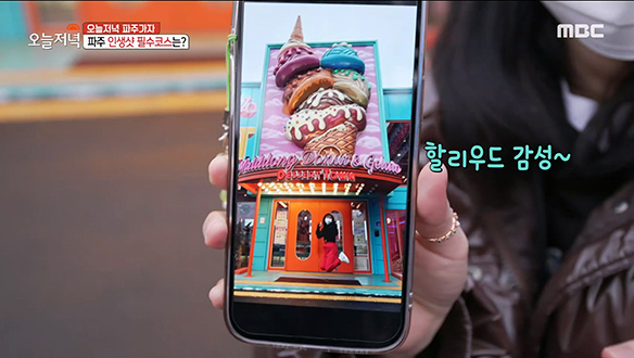 인생샷 필수코스? 화려한 포토존이 가득한 '파주 인생샷 카페' 팩트 체크!