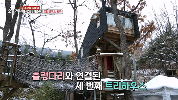 모양도 크기도 각양각색! 100% 내손내집 '트리하우스 왕국'