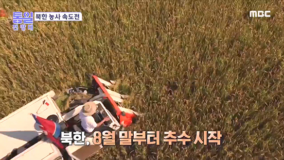 "예년보다 작황 좋아" 북한 추수 안간힘