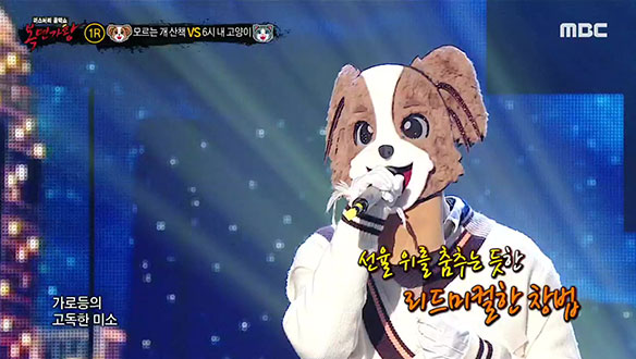 맑고 산뜻한 목소리 '모르는 개 산책' VS 가을 하늘을 닮은 높고 또렷한 음색 '6시 내 고양이' <오랜만에>