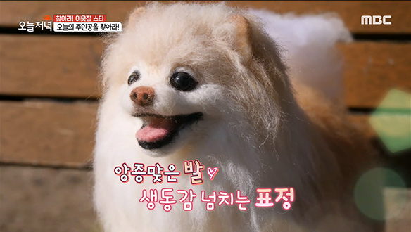 세상에 단 하나! 진짜보다 더 진짜 같은 '양모인형' 제작과정 대공개! 클립 이미지