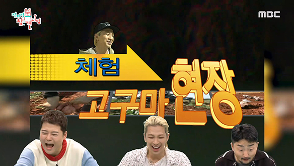 꿀고구마 다이어터 태양과 함께하는＜체험! 고구마 현장＞ 클립 이미지