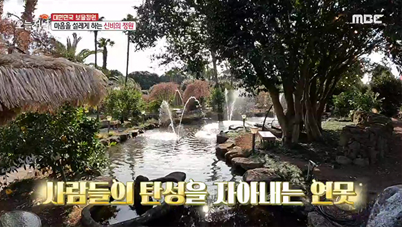 정원사의 정성이 들어간 정원! 아이디어가 넘치는 '신비의 정원'  클립 이미지