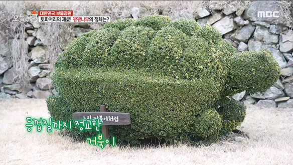 남해를 품은 동화 같은 정원? 감탄 자아내는 작품들이 즐비한 '토피어리 정원' 클립 이미지