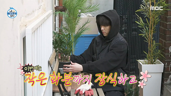 반지하 앞마당의 대변신! 배우 이유진의 센스로 가득 채운 앞마당의 모습은? 클립 이미지