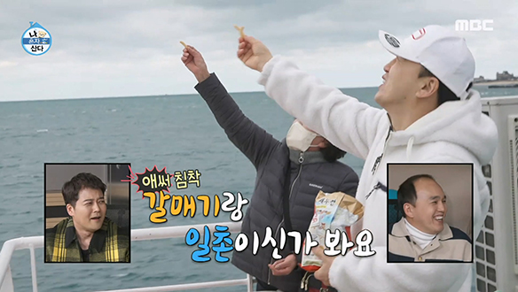 MZ 따라 우도 간다♥ MZ 핫플 우도로 여행을 떠난 김광규 클립 이미지