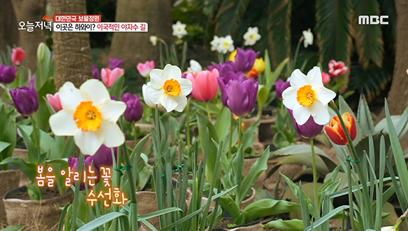 꽃과 나무뿐 아니라 다양한 동물들까지! 볼거리 가득한 '이색 정원'