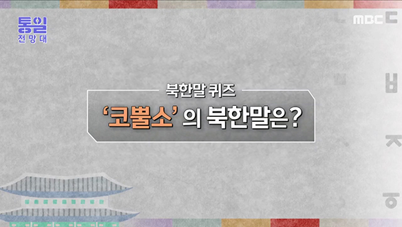 [2023-03-18 1048회] 우리말 `코뿔소`를 뜻하는 북한말은?