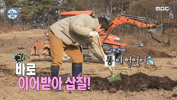 쇠질 대신 삽질 간다♨ 텃밭 제대로 들쑤셔 놓는 돌쇠84 클립 이미지