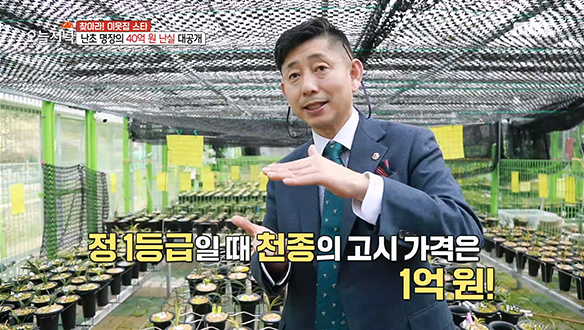 최고급 품종들이 가득한 '난초 명장'의 40억 원 난실 大공개! 클립 이미지