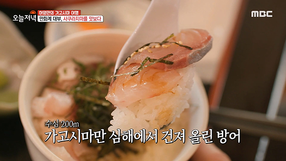 만화계 대부 허영만, 사쿠라지마를 맛보다♨ '감귤 우동' & '방어 덮밥' 클립 이미지