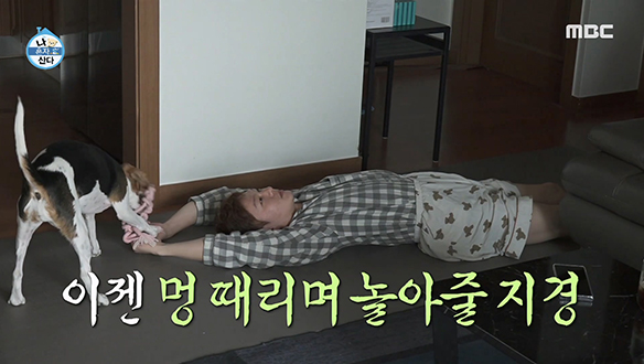 반려견 구리의, 구리에 의한, 구리를 위한 이창섭의 모닝 루틴☆