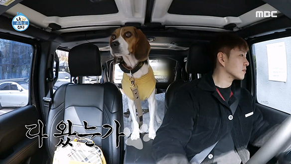 구리아빠 이창섭 X 매정(?)한 구리의 유치원 등원길♪