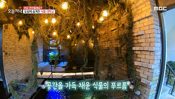 도심 속 숨겨진 푸르름 가득한 공간? 경리단길 '식물 대학교'의 정체는?