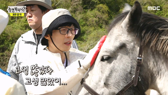 평화로운 생츄어리(Sanctuary)에서 제일 중요한 건 말들과의 교감♥