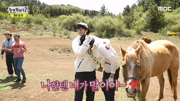 "얘들아 많이 먹어라~" 홀린 듯 보게 되는 말들의 맛깔나는 풀 먹방♡