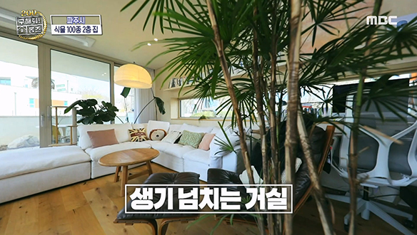 <경기도 파주시 식물 100종 2층 집> 싱그러움 풀풀 식집사의 100종류 반려 식물과 함께하는 100정원 하우스! 클립 이미지